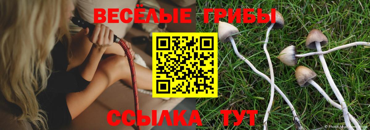 Галлюциногенные грибы прущие грибы  Псилоцибиновые грибы Psilocybine cubensis  Новый Уренгой  Вход с VPN 
